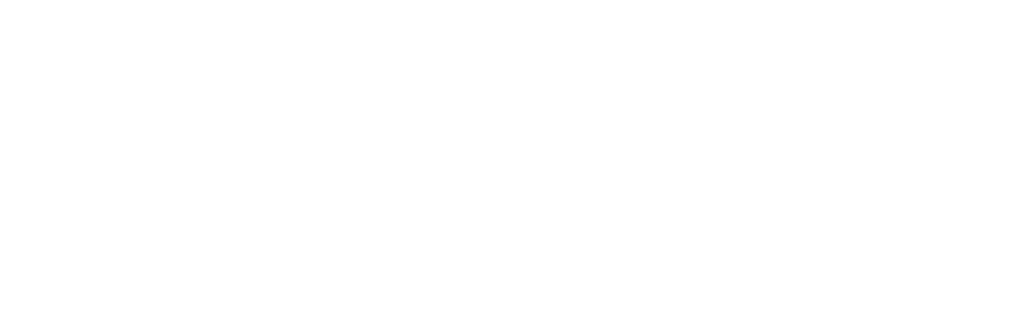 Actively Logo
